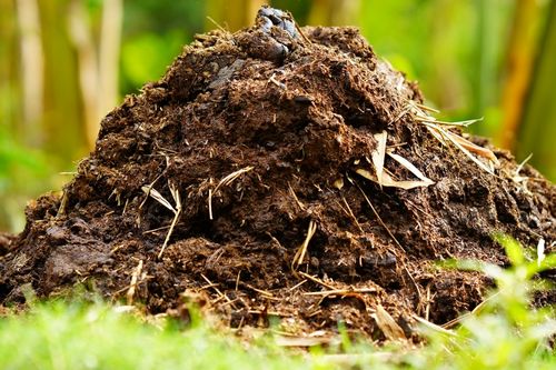 kotoran-tidak-berharga