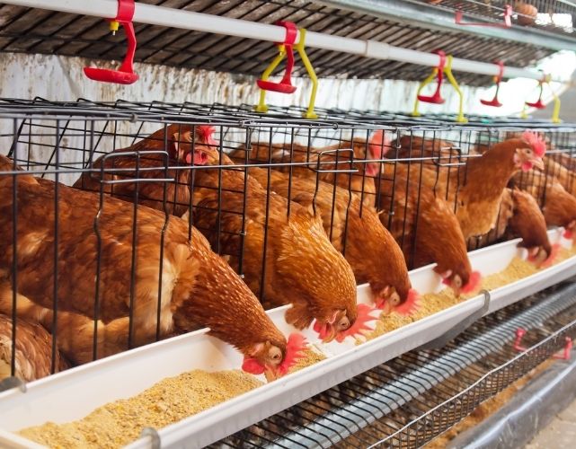 sistem-bioterris-terukur